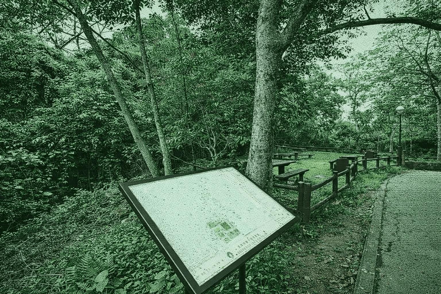 Aberdeen Tree Walk