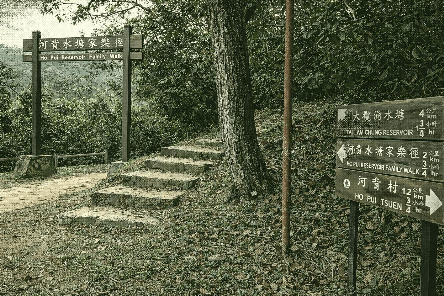 Ho Pui Reservoir Family Walk