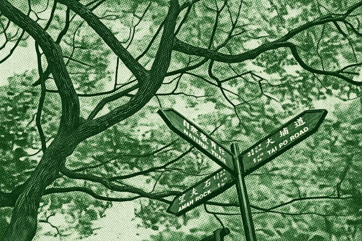 Hung Mui Kuk Nature Trail