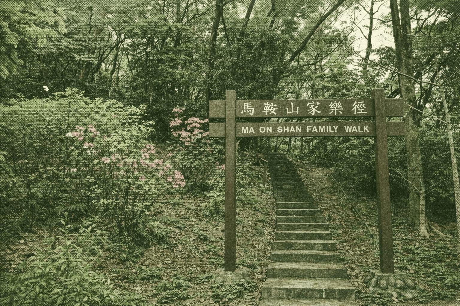 Ma On Shan Family Walk