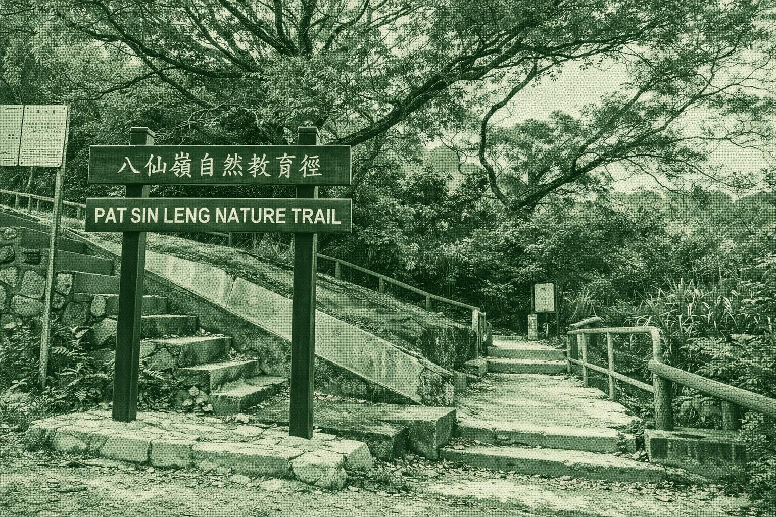 Pat Sin Leng Nature Trail