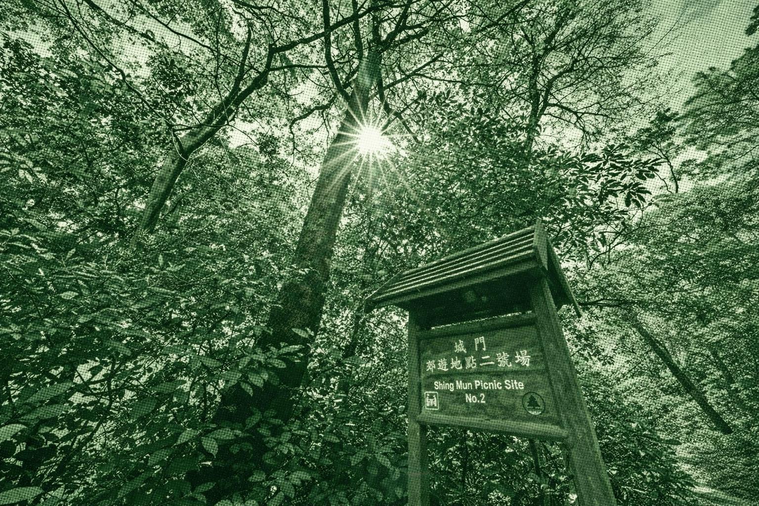 Pineapple Dam Nature Trail