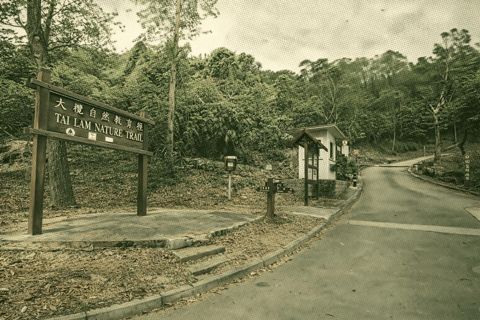 Tai Lam Nature Trail