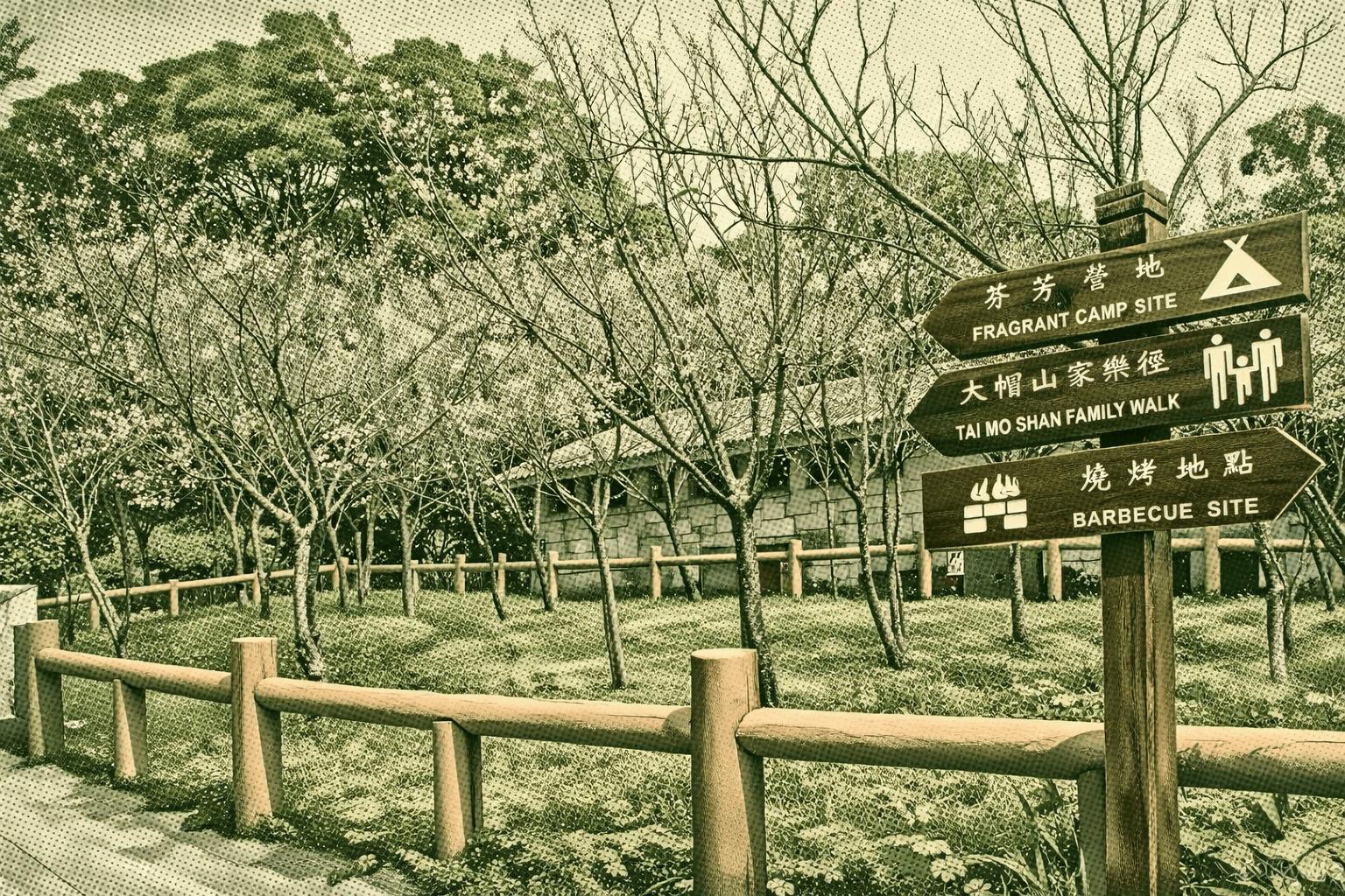 Tai Mo Shan Family Walk