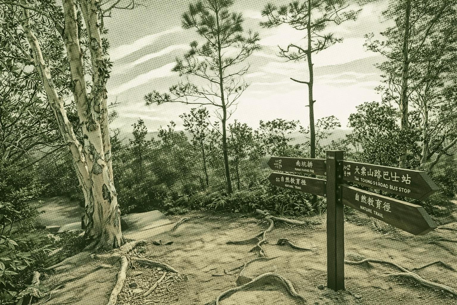 Tai Tong Nature Trail