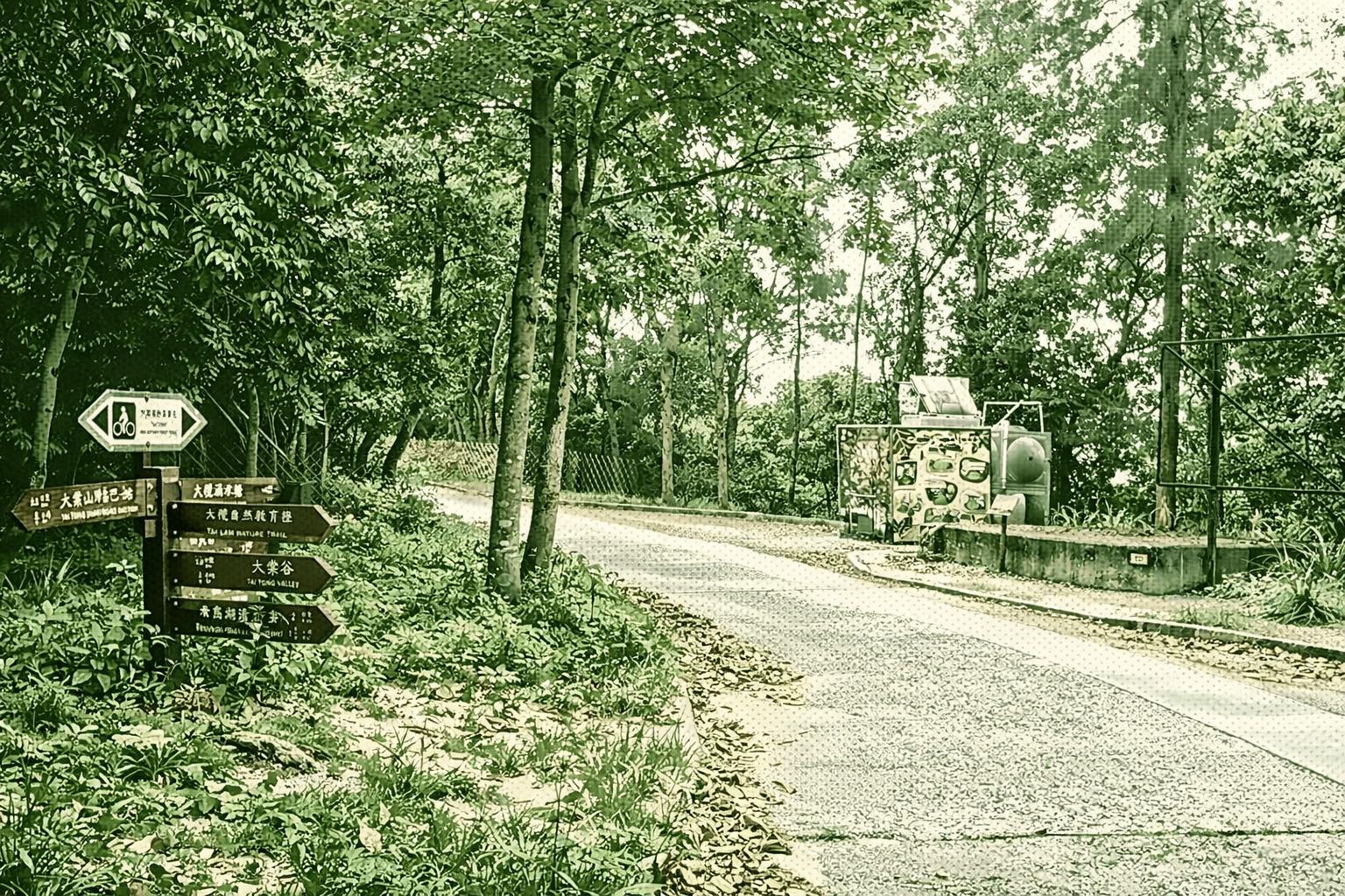 Tai Tong to Wong Nai Tun Reservoir
