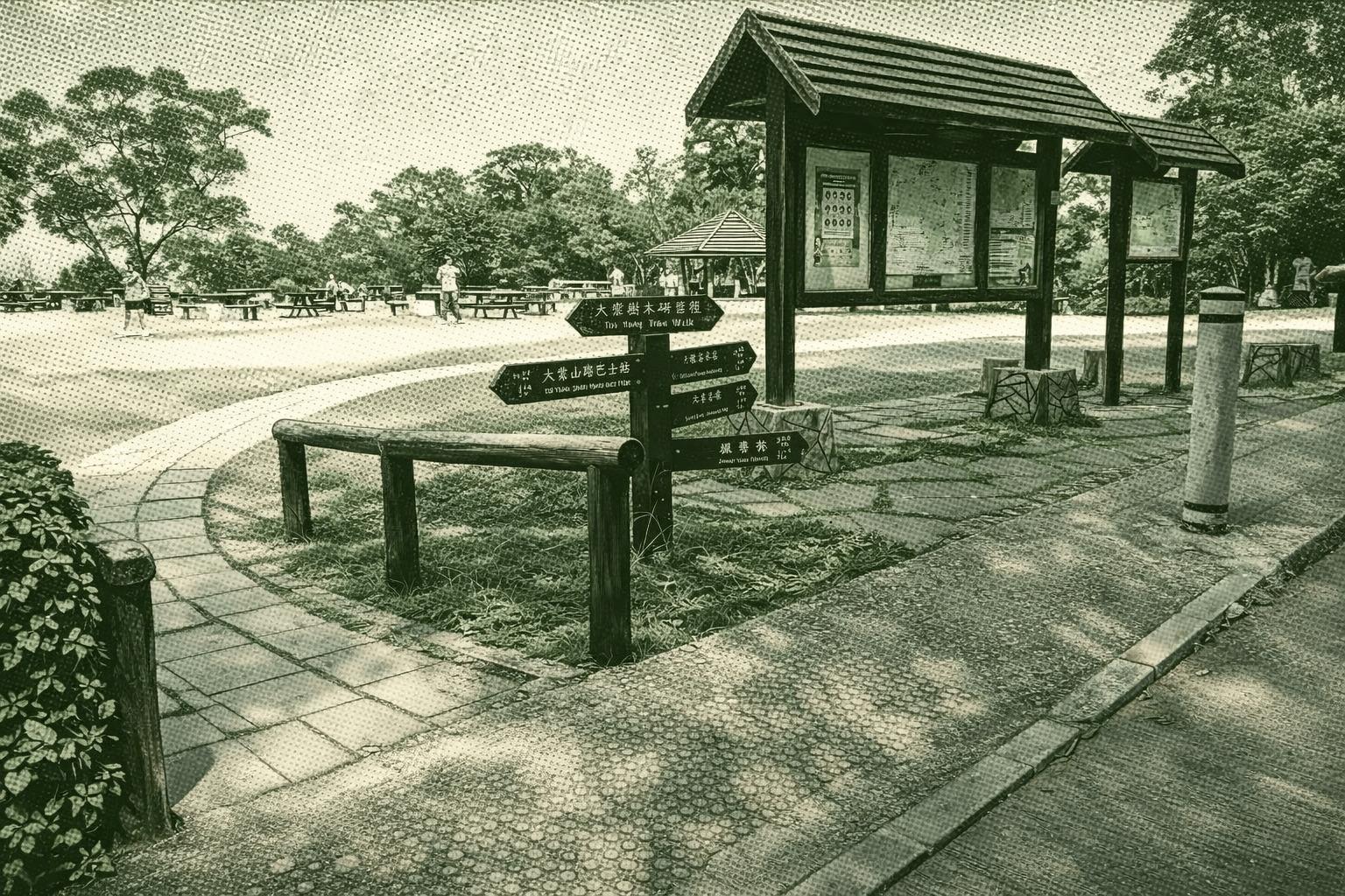Tai Tong Tree Walk