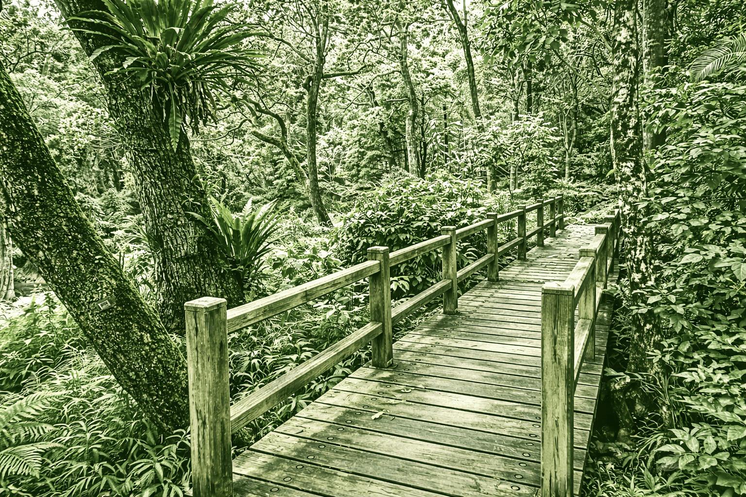 Tsiu Hang Nature Trail