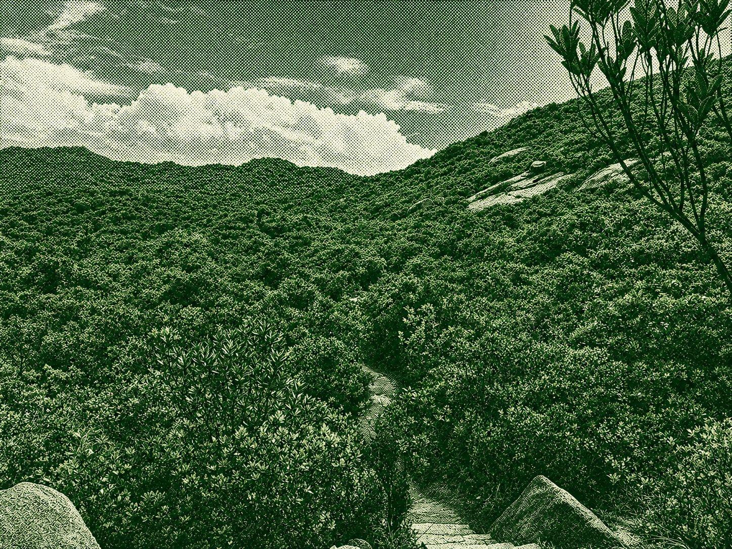 Dragon’s Back Trail - Extended