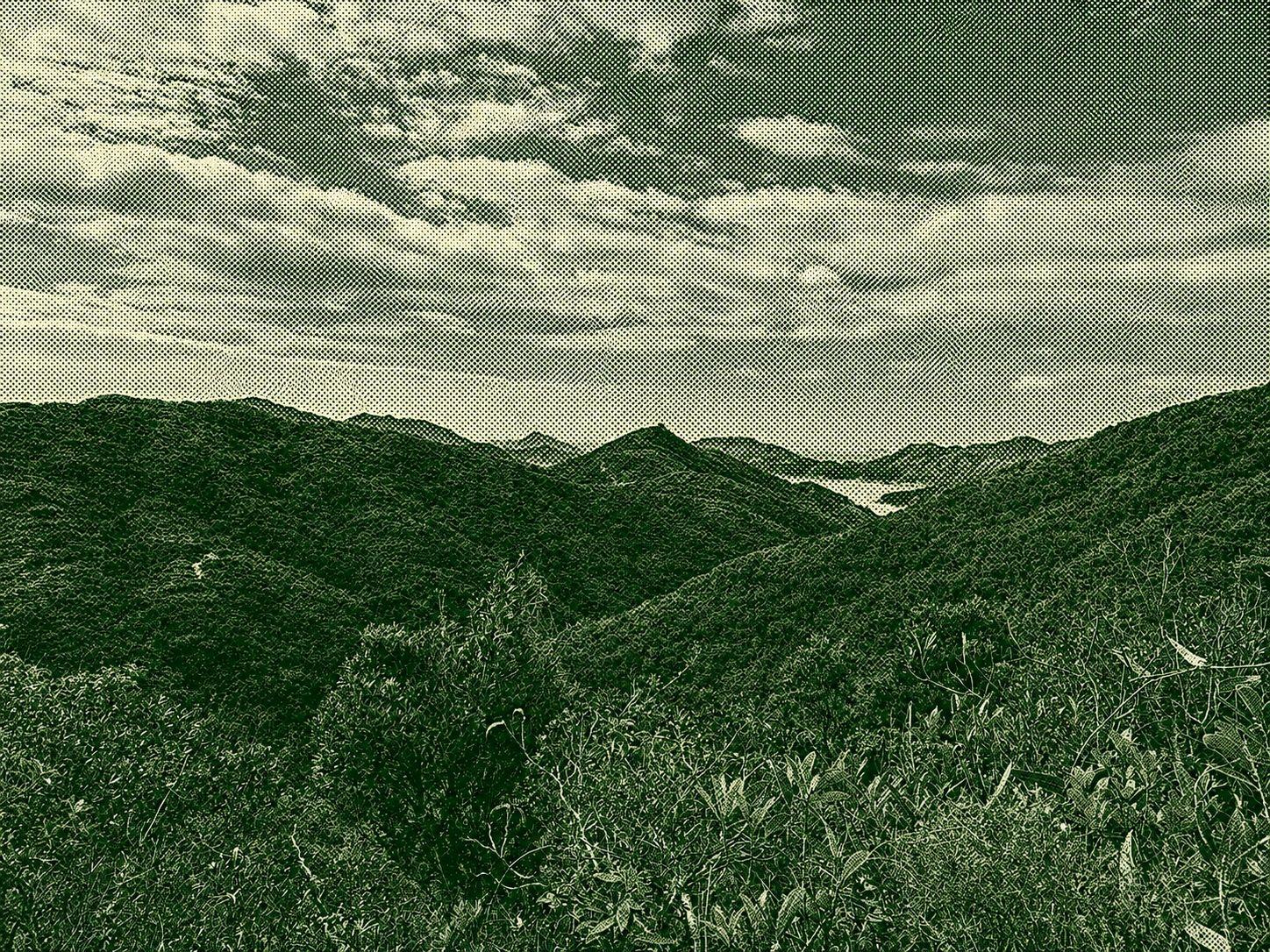 Kam Kui Shek Teng