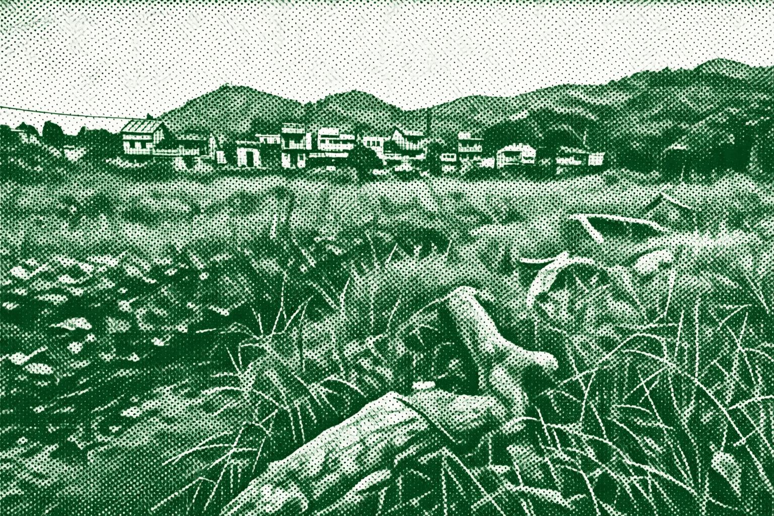 Wu Kau Tang Country Trail