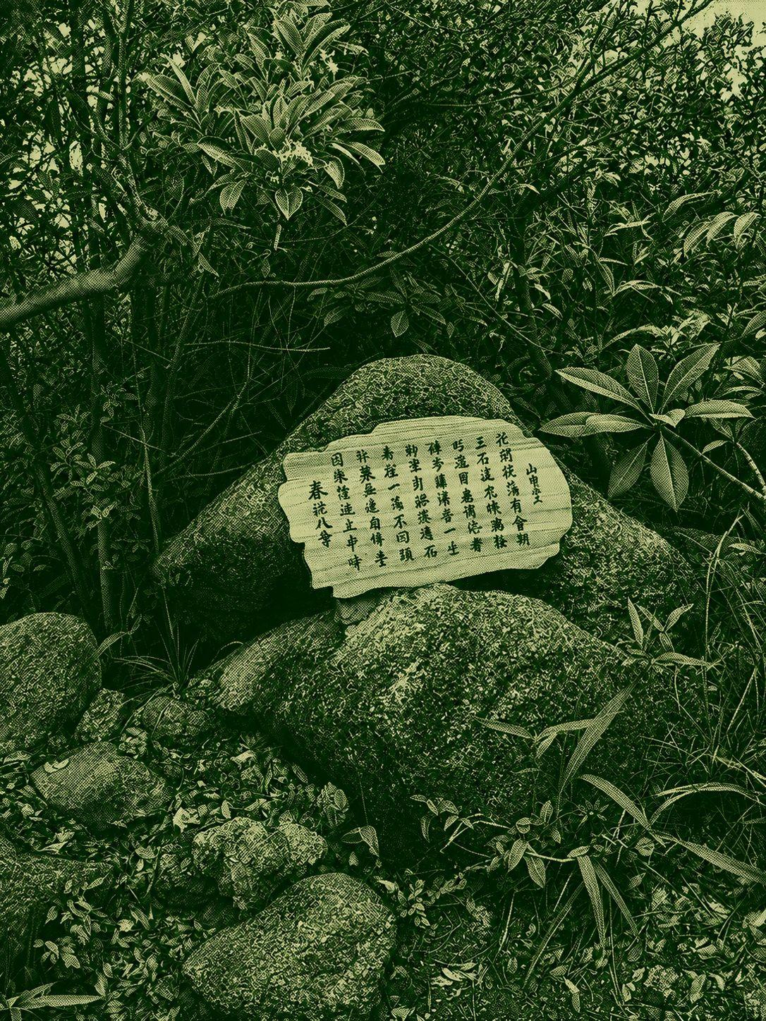 Nga Ying Chau Trail