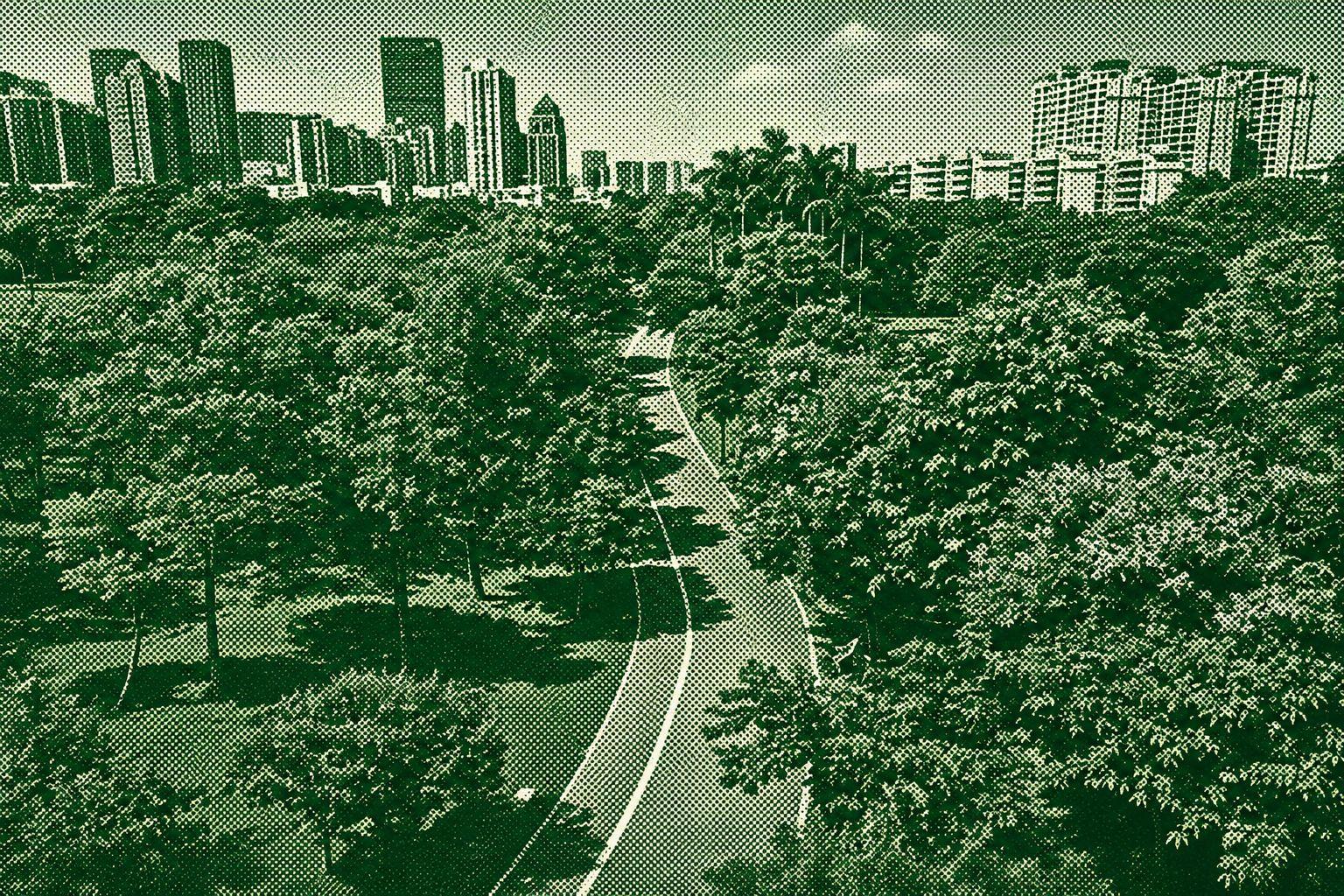 Futian Ring Greenway