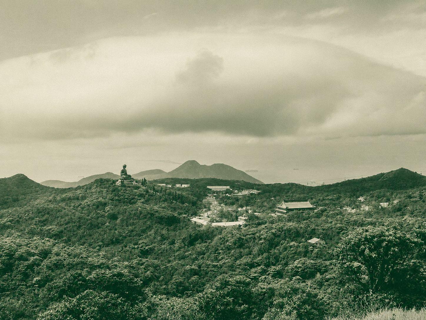 Sha Lo Wan to Ngong Ping via Forest Scramble and Rescue Trail