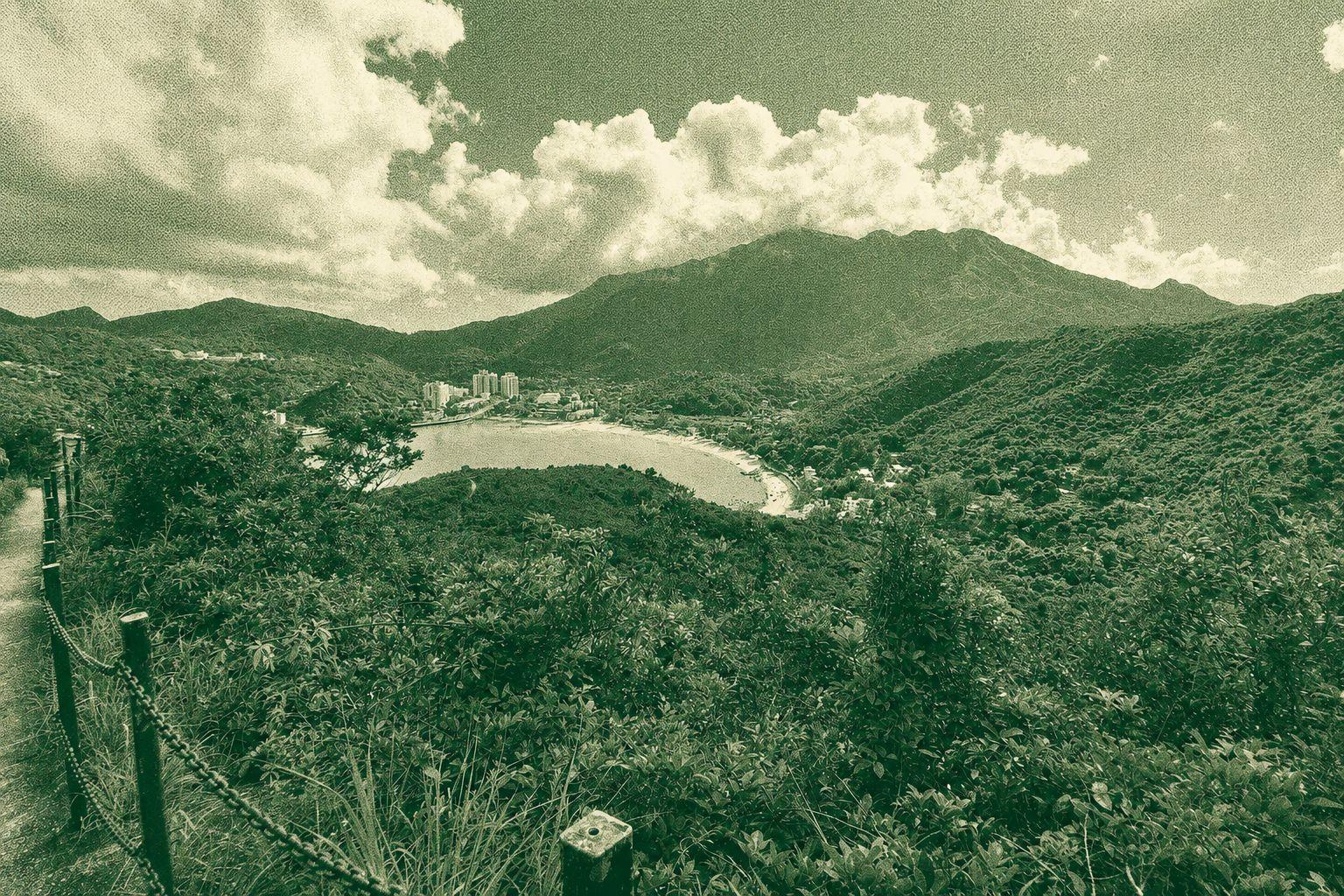 Ham Tin Loop