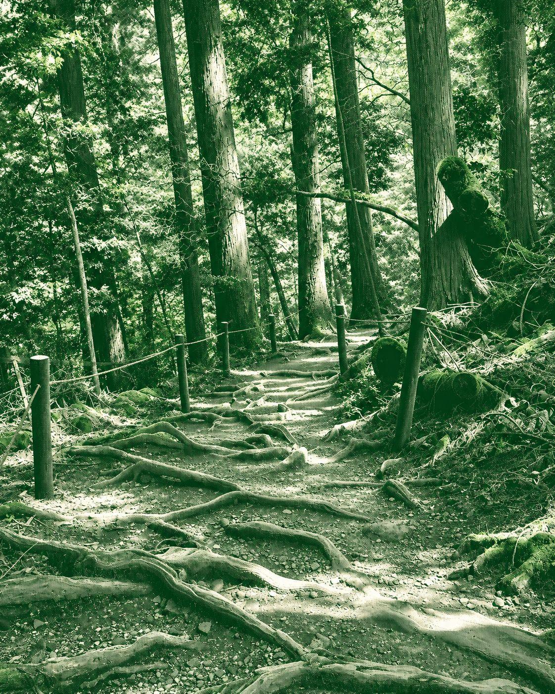 Kurama to Kibune
