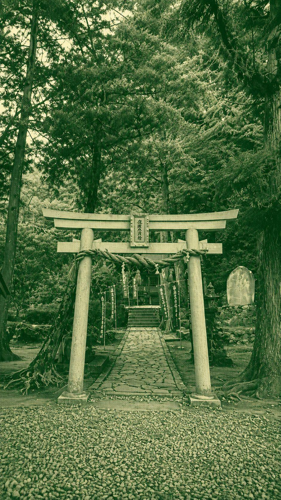Kumano Kodo: Nakahechi Full Pilgrimage Trail