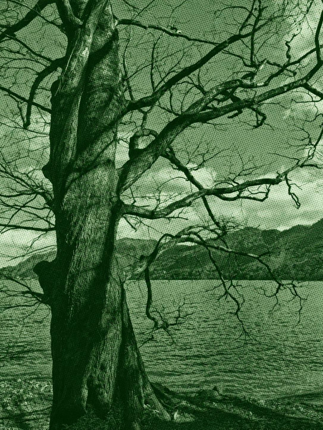 Lake Chūzenji Walk