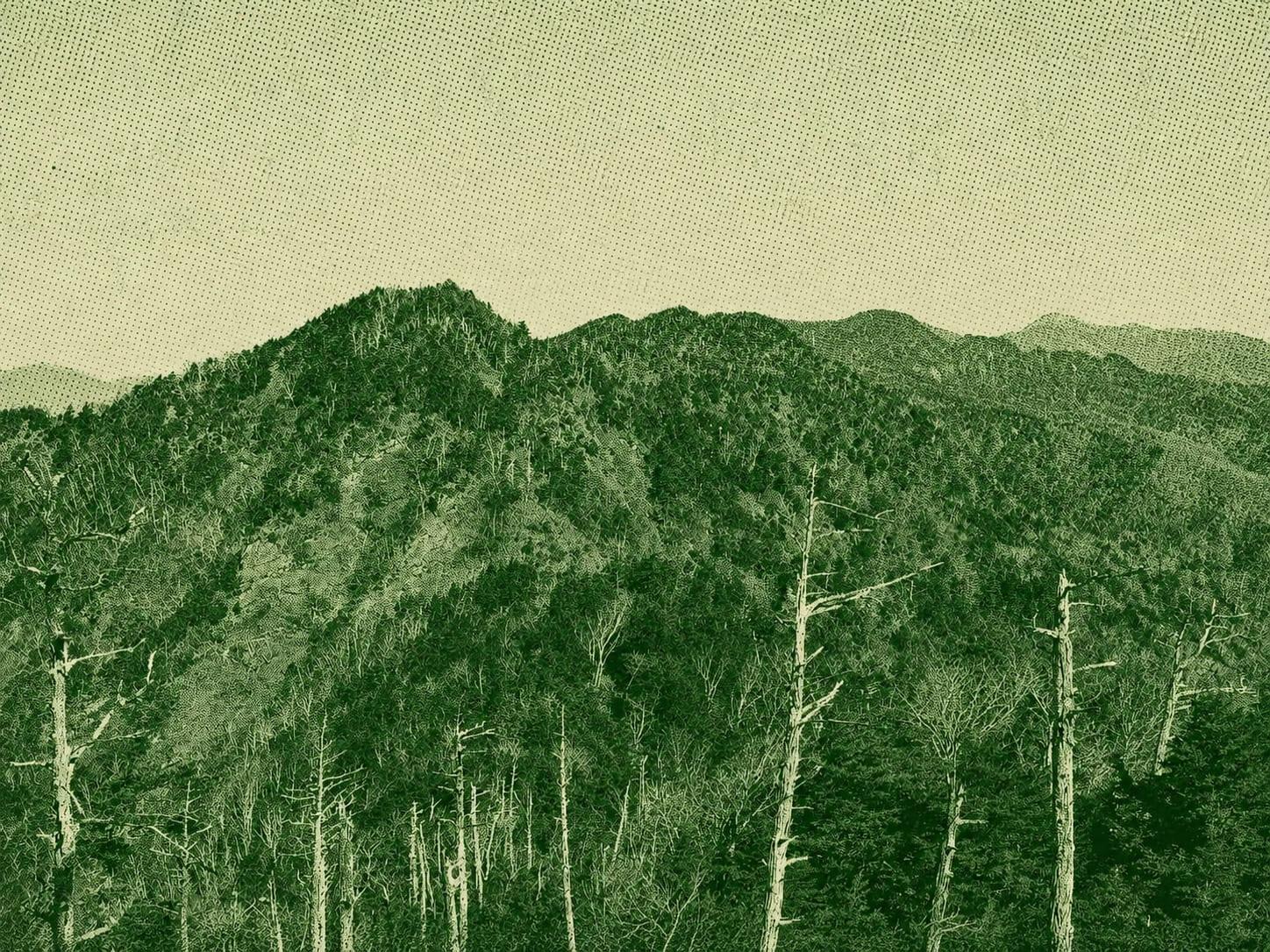 Mt. Maekesamaru Trail