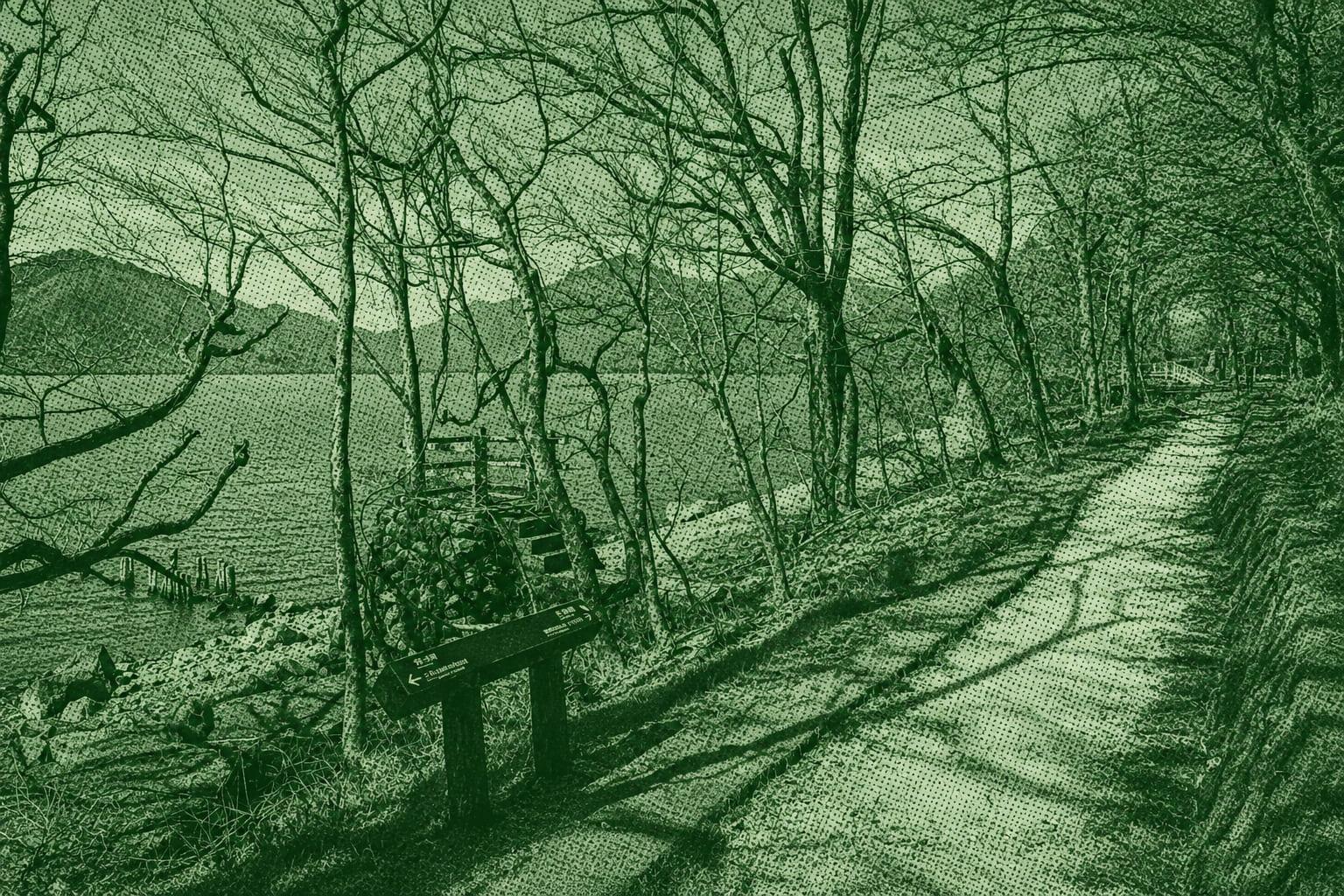 South Lake Chūzenji Loop Trail