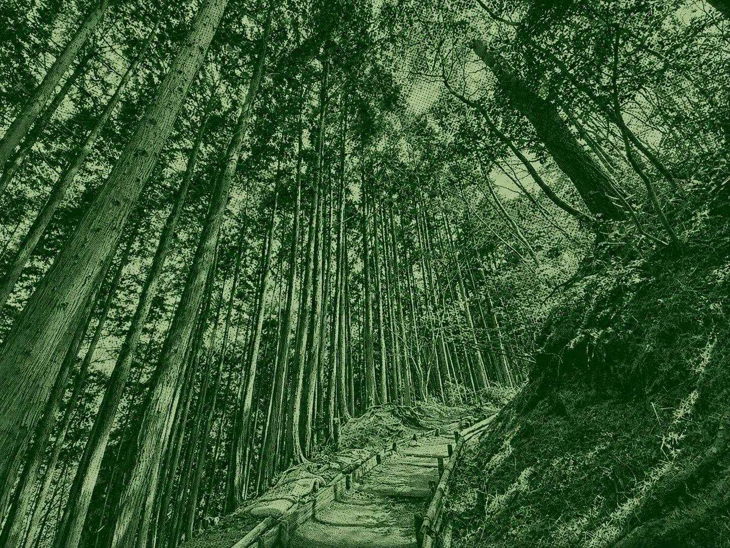 Mount Kongo
