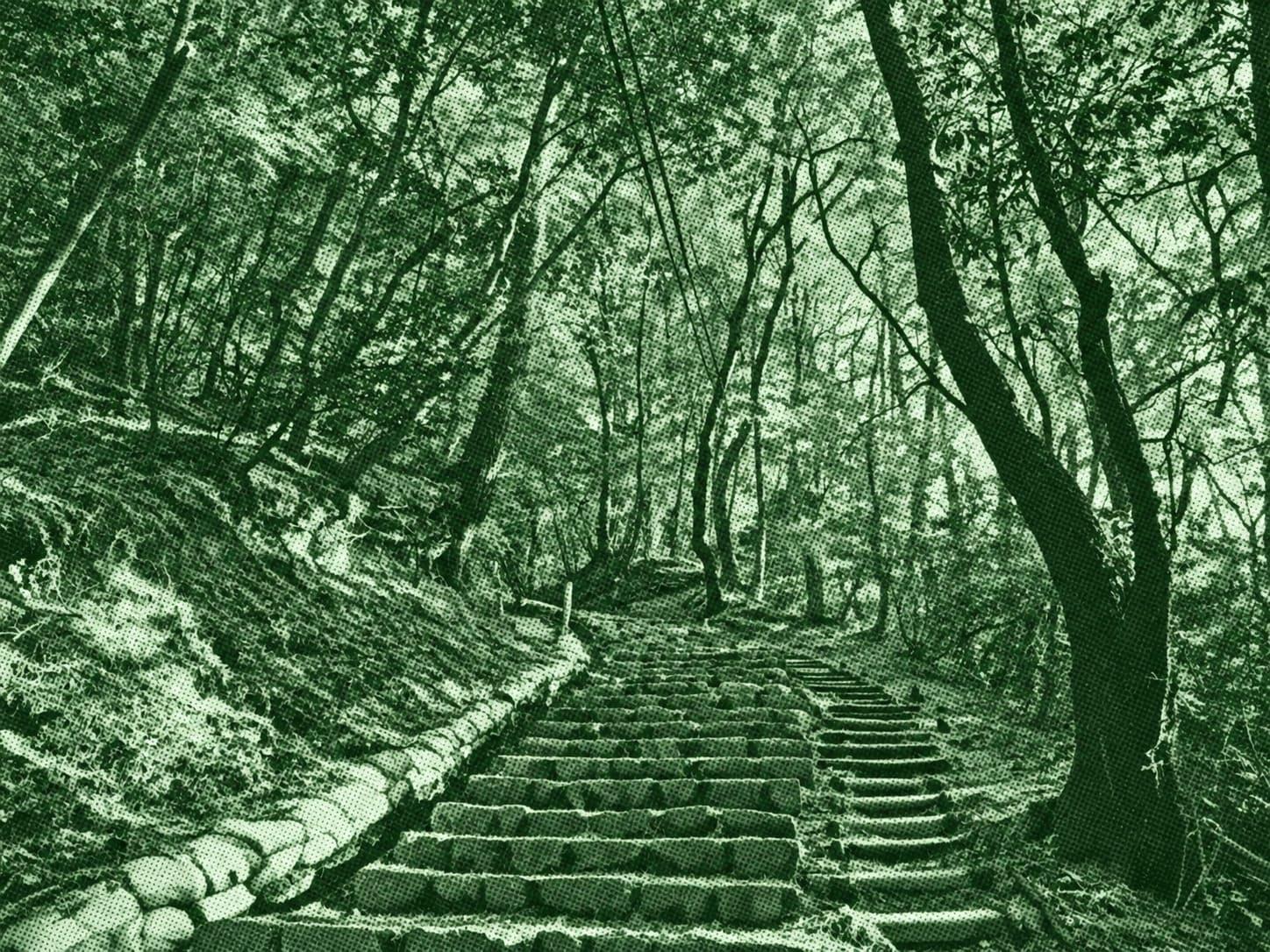 Mt. Kongo: Mizugasaka