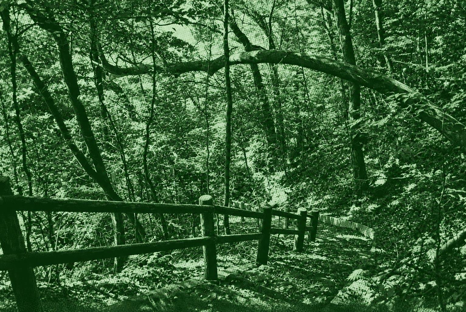 Mount Inao