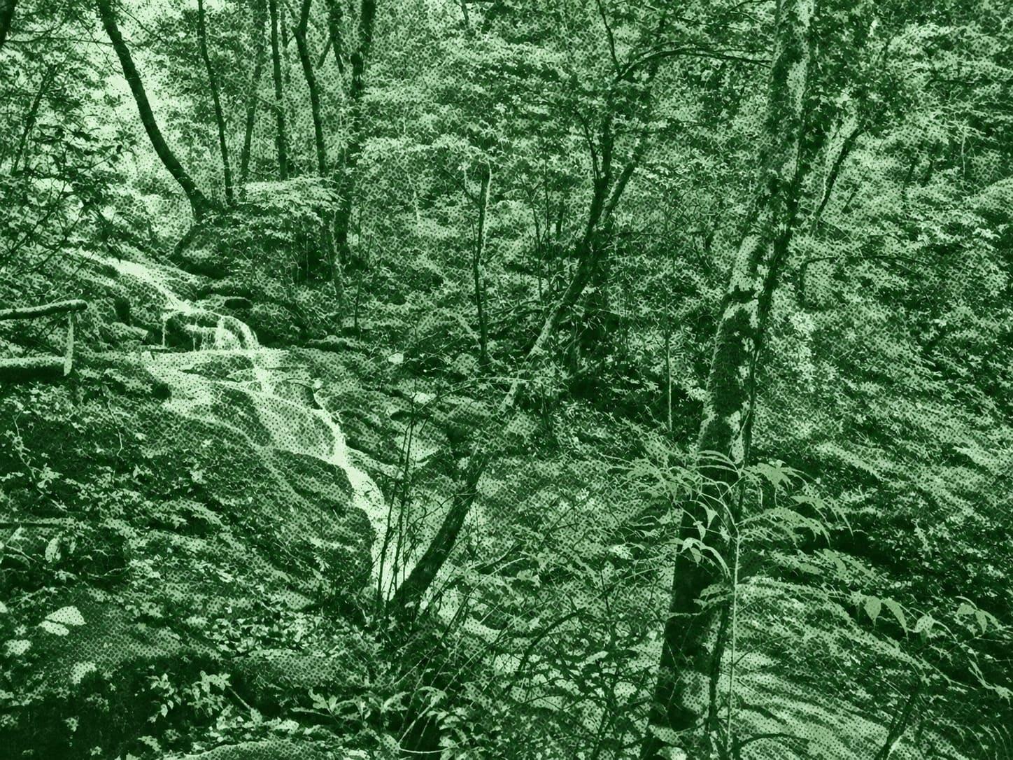 Mount Inao: Takimeguri Course