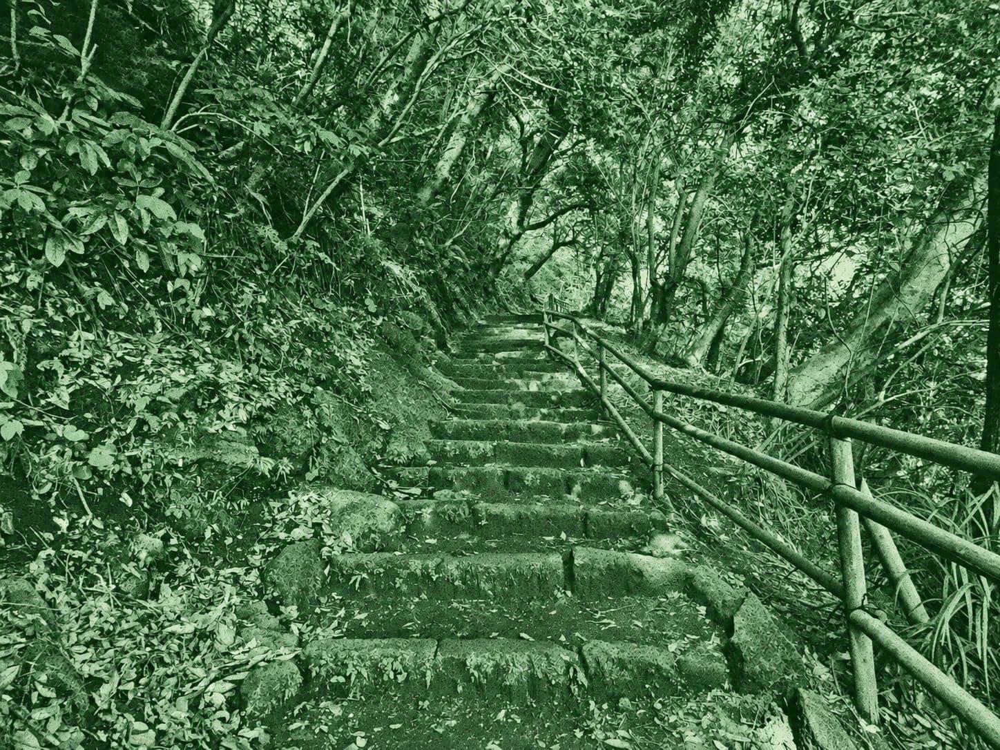 Mount Inao Loop