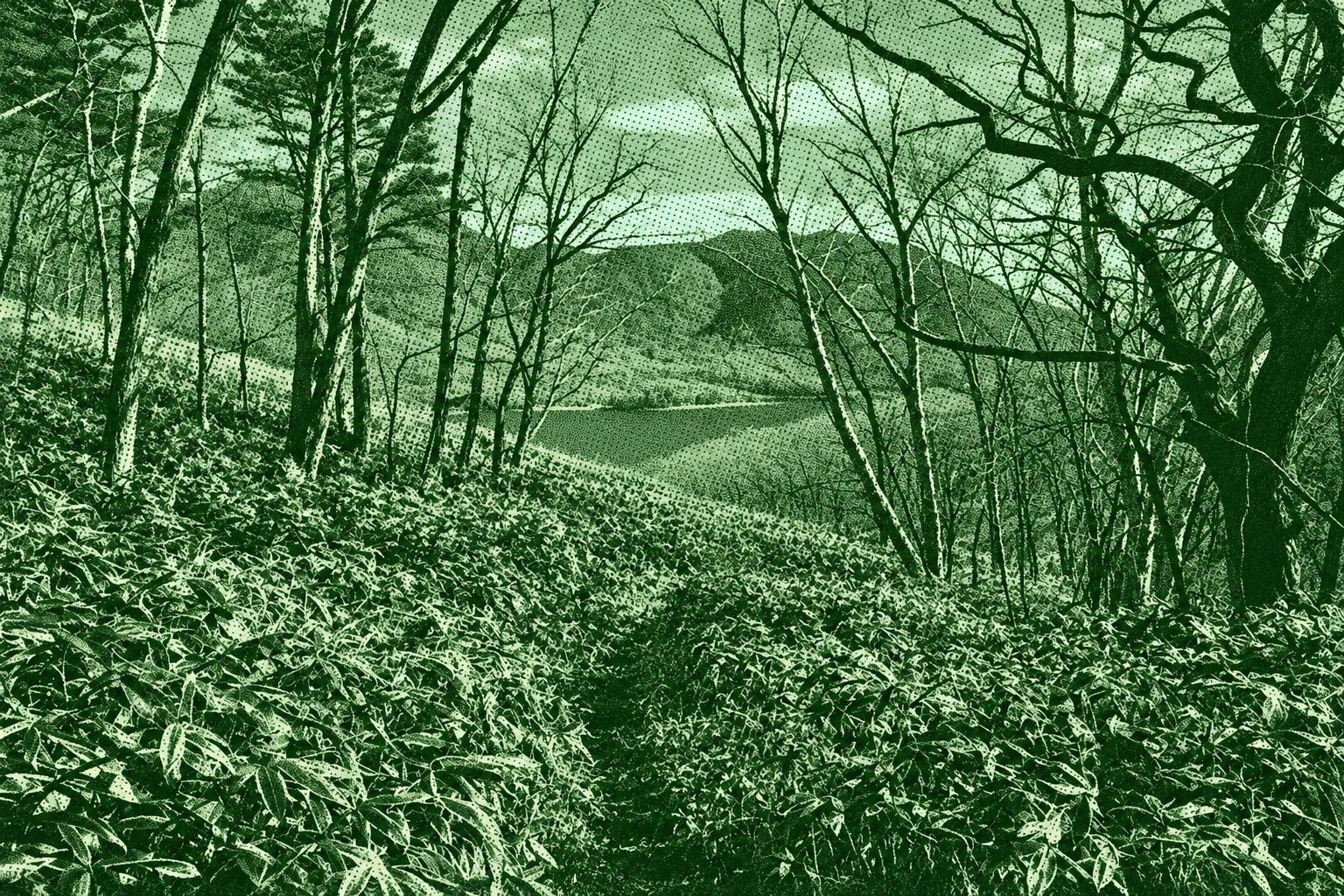 Mount Kurobi - Lake Onuma - Onoko Parking Lot Loop