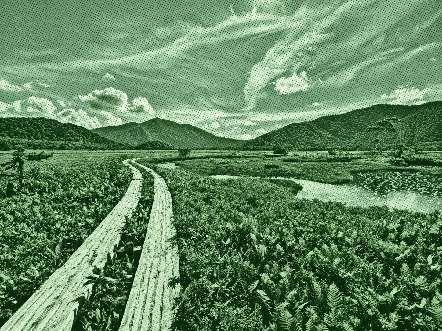 Ozegahara - Yamanohana - Hatomachi Pass Loop