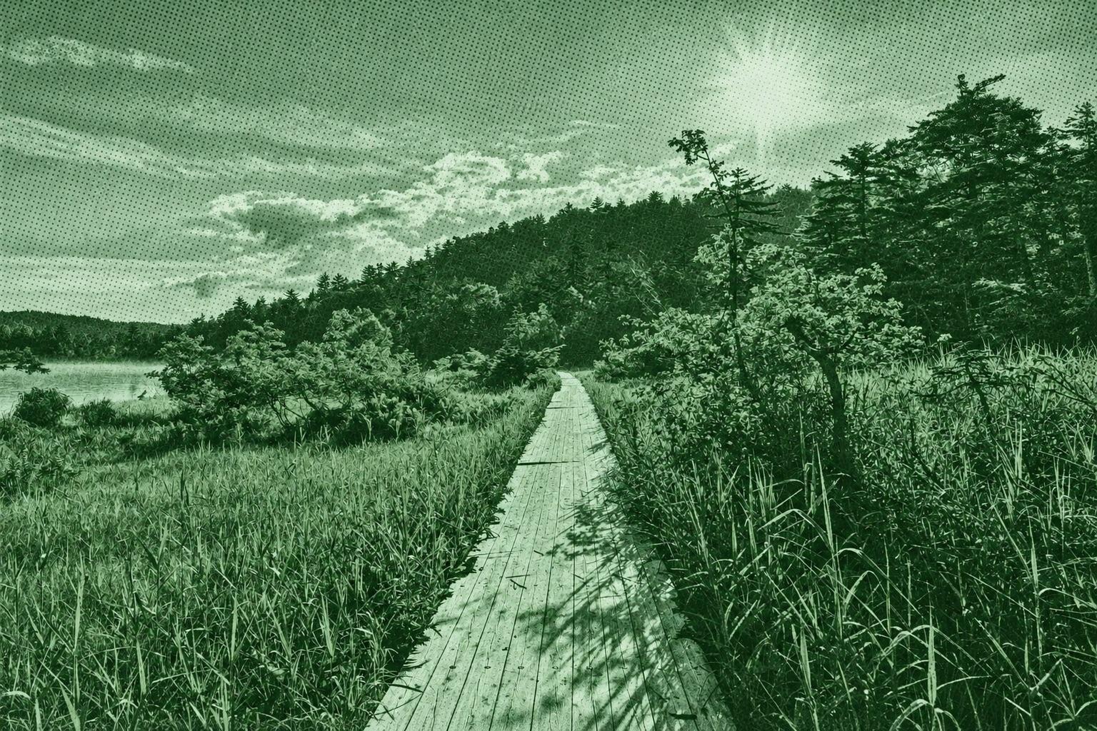 Lake Ozenuma Loop