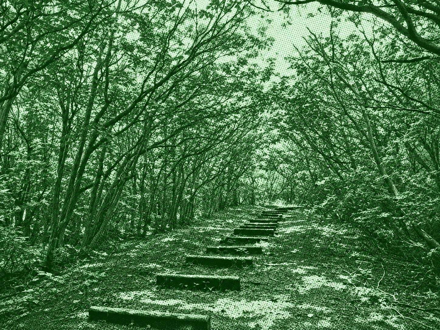 Mount Haruna Fuji Trail