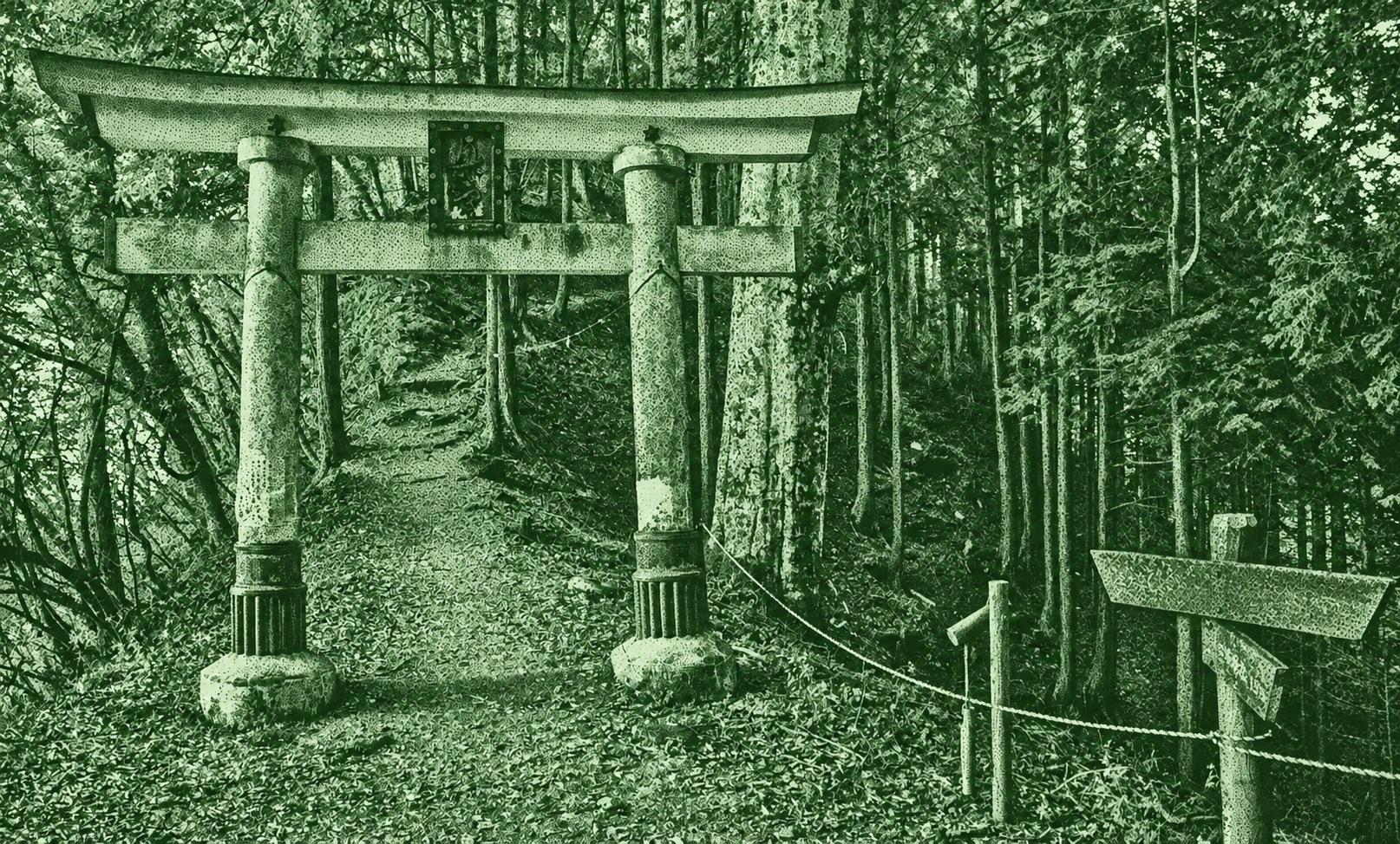 Mount Mitsumine - Mount Tenmoku - Tenjin Pass