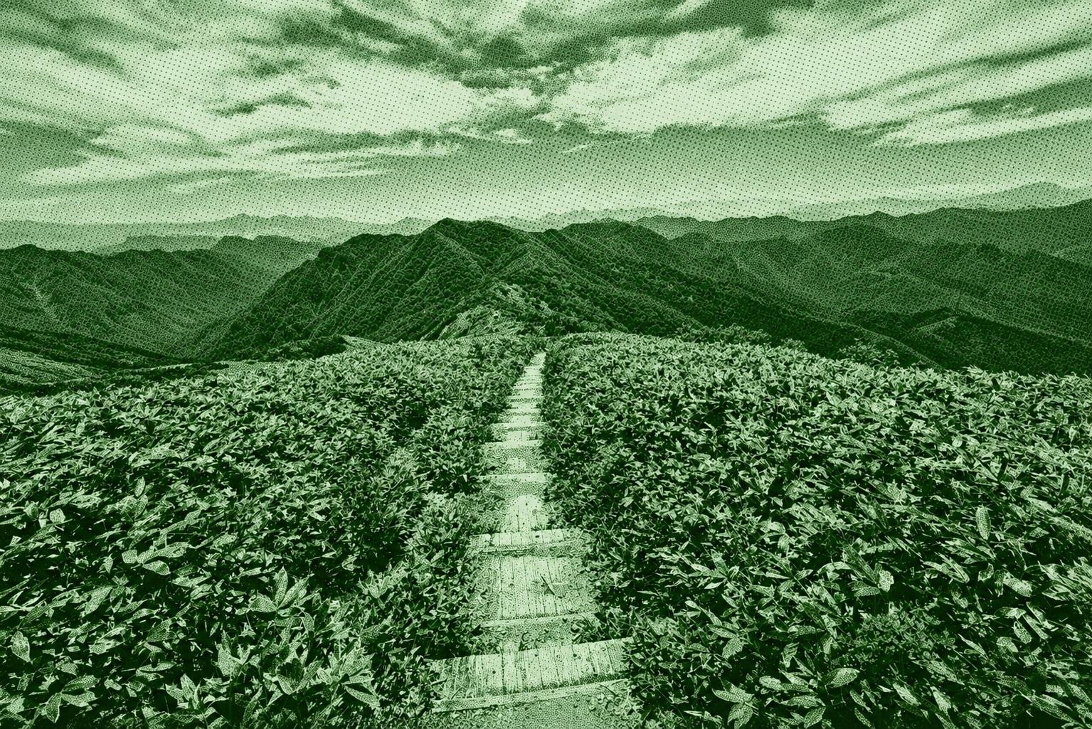 Doai - Mount Shiragamon