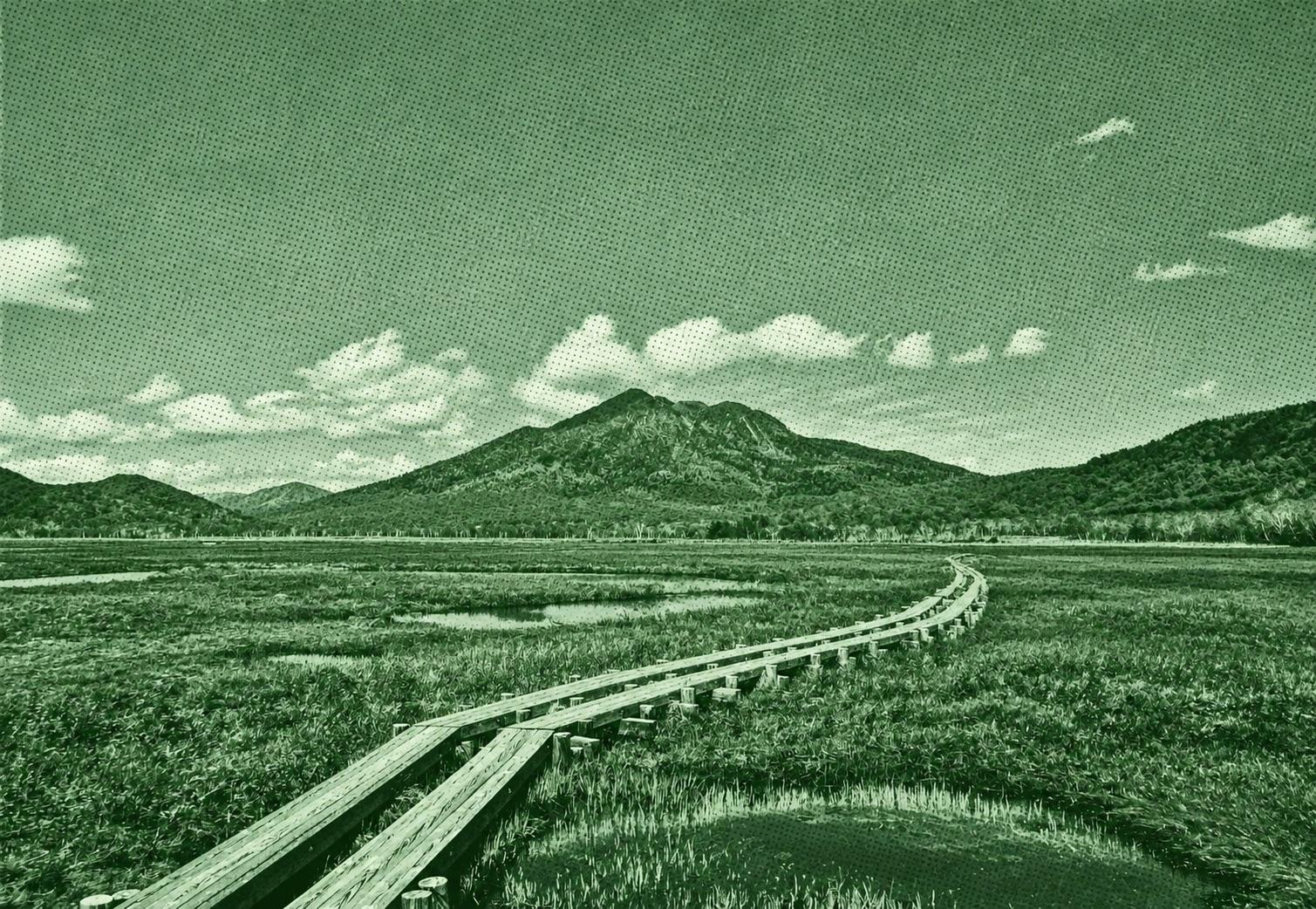 Lake Ozenuma - Oshimizu Loop
