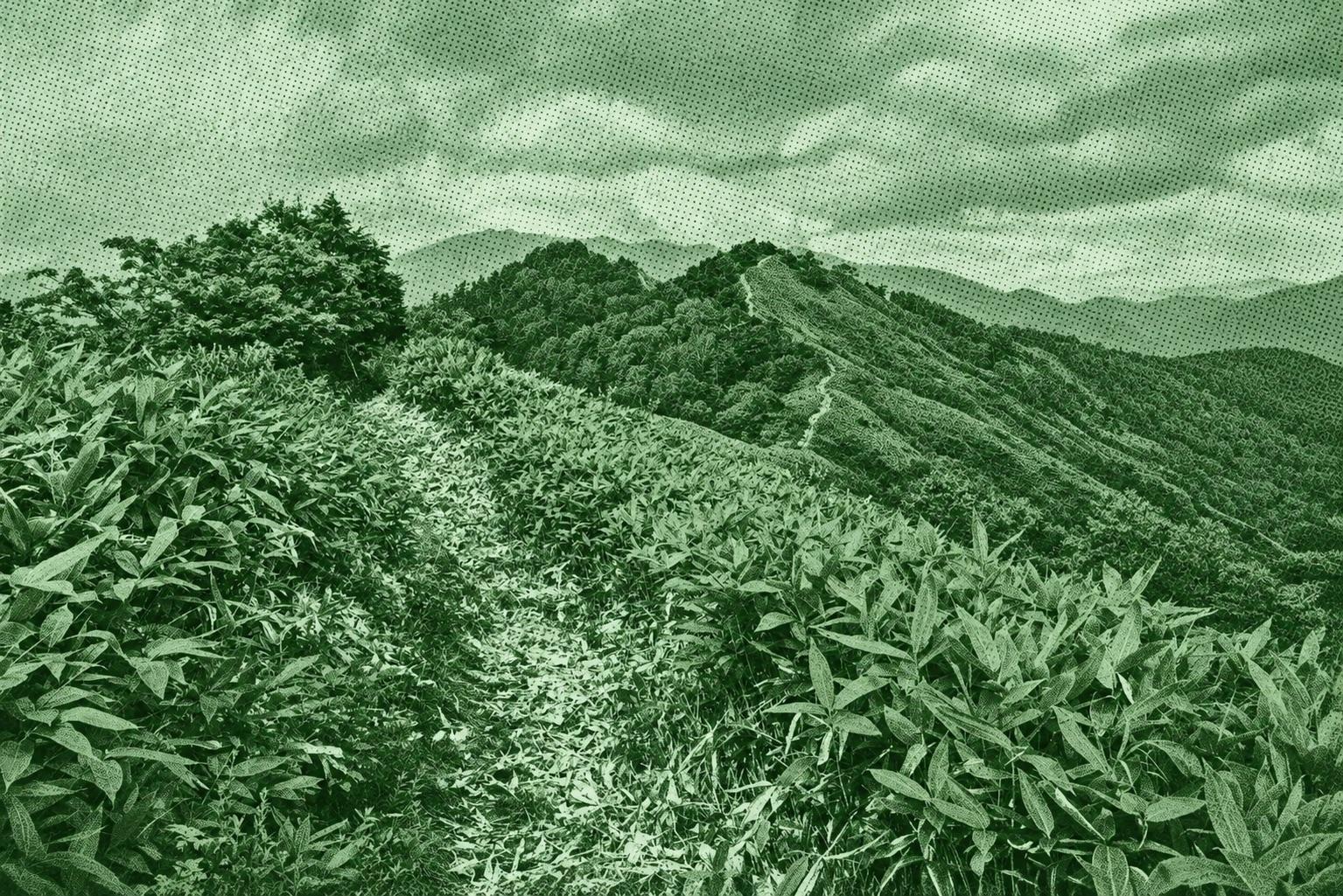 Mount Douiwa - Mount Shirasuna - Mount Hachiken Loop