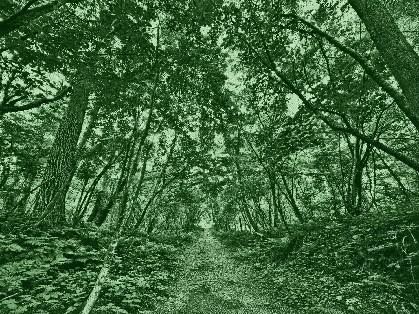 Namikizawa Loop