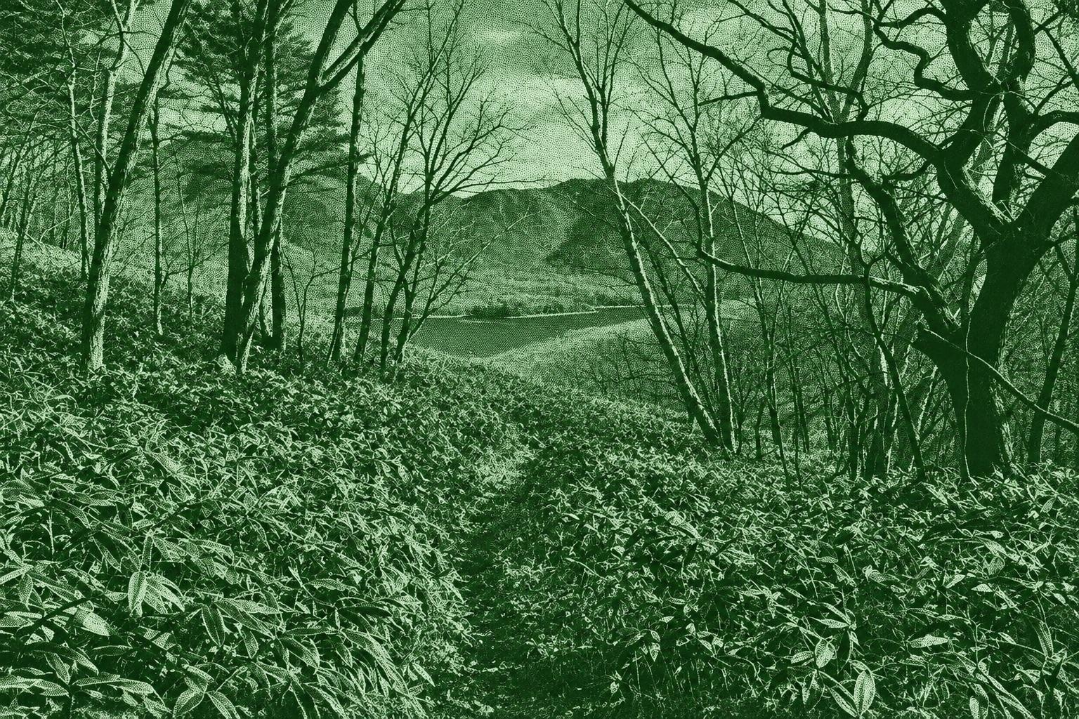 Mount Akagi: Mount Yakushidake - Lake Onuma - Onoko Parking Lot