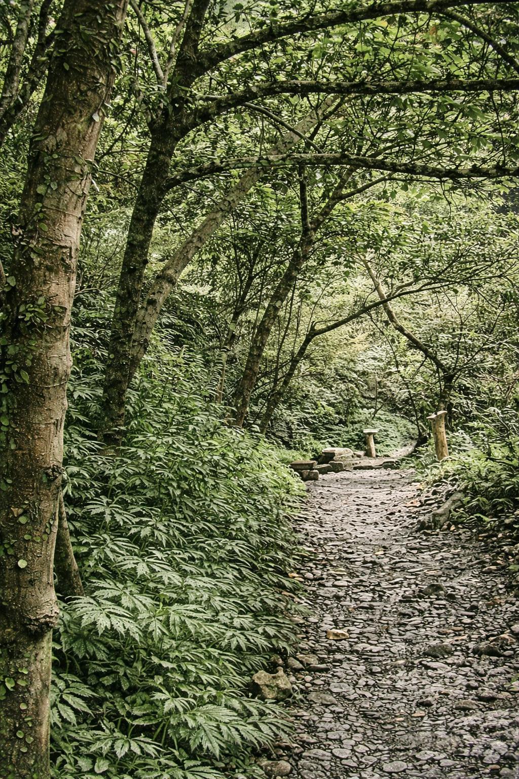 Sinliao Waterfall Trail