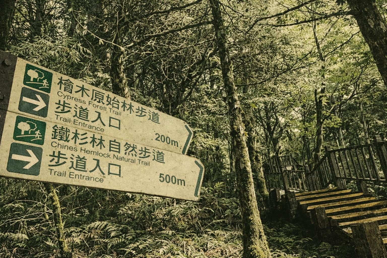 Taiwan Hemlock Nature Trail