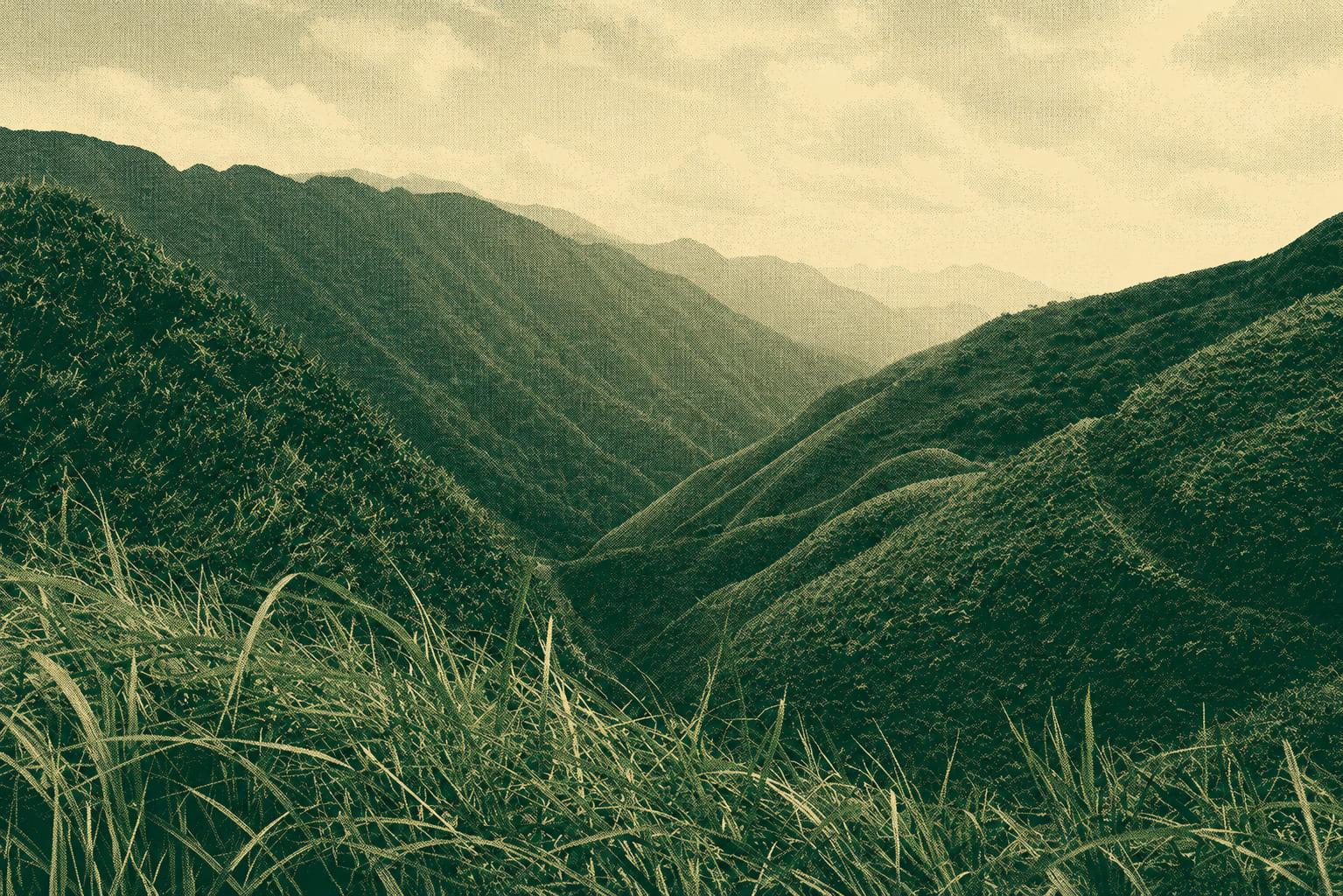 Triangle Mountain Hiking Trail