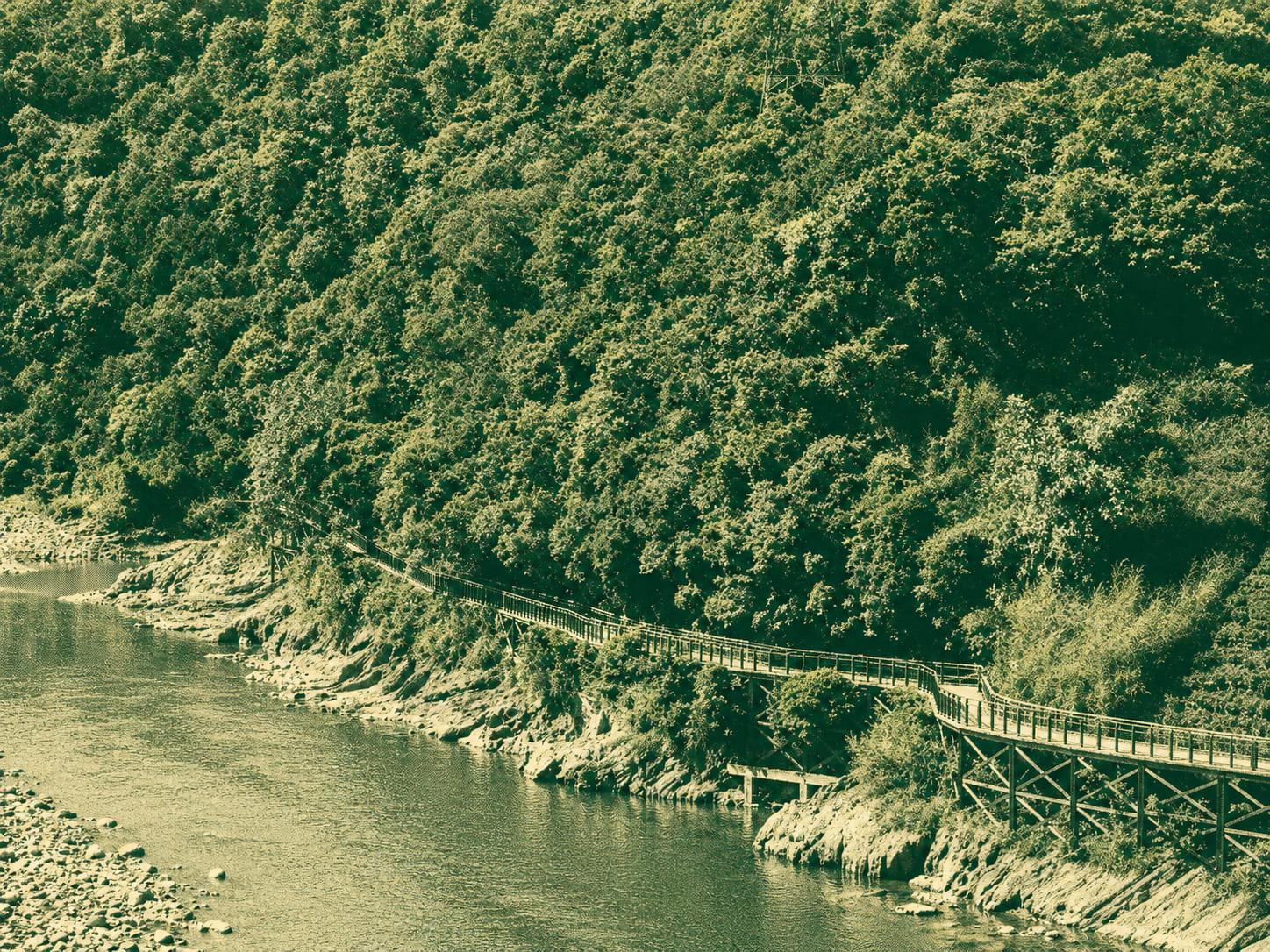 Xinbei Pinglin District