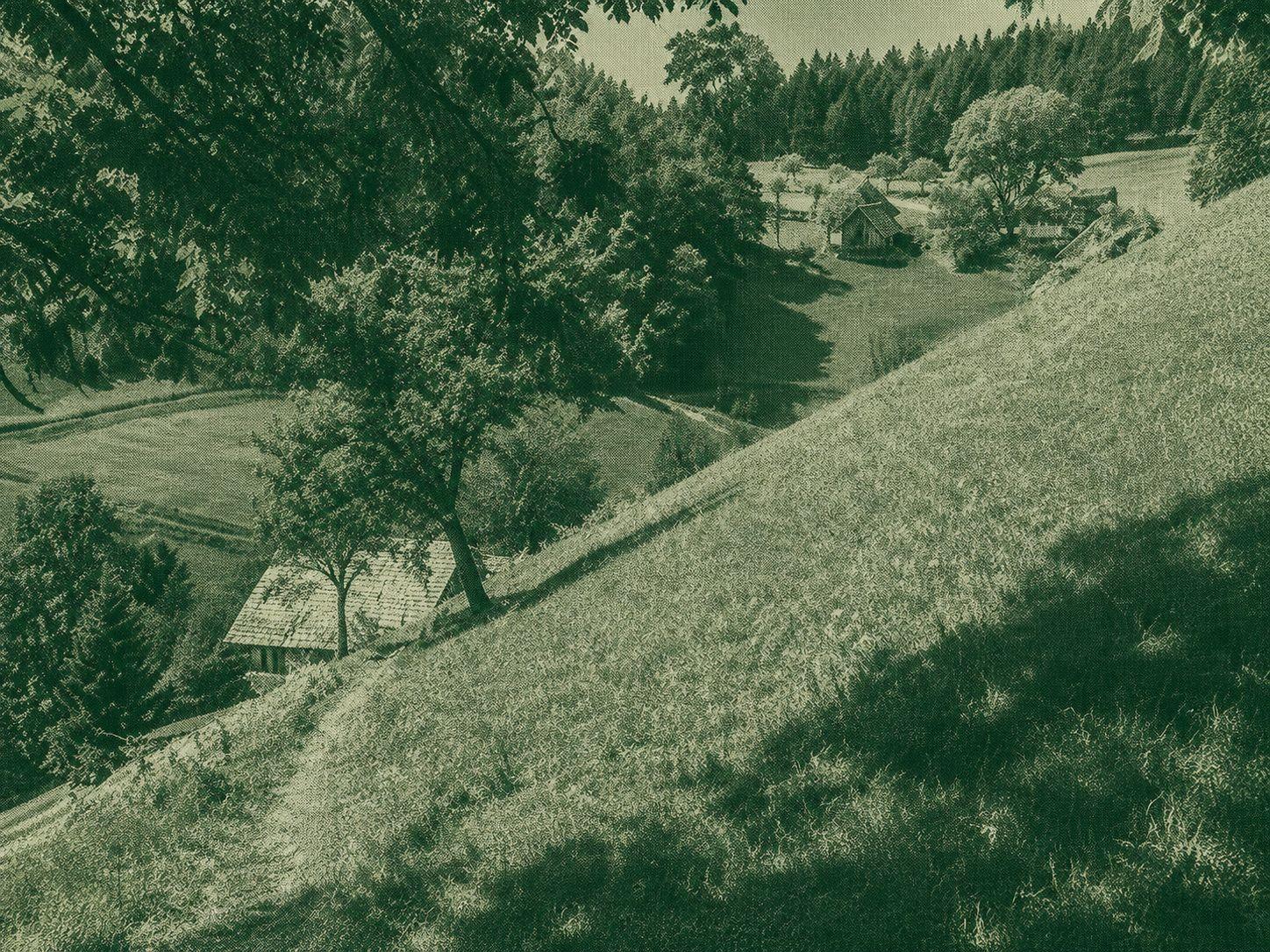 Wiesensteig