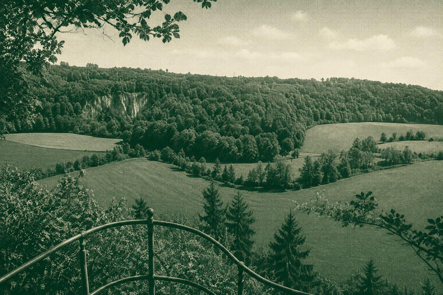 Witbergrunde
