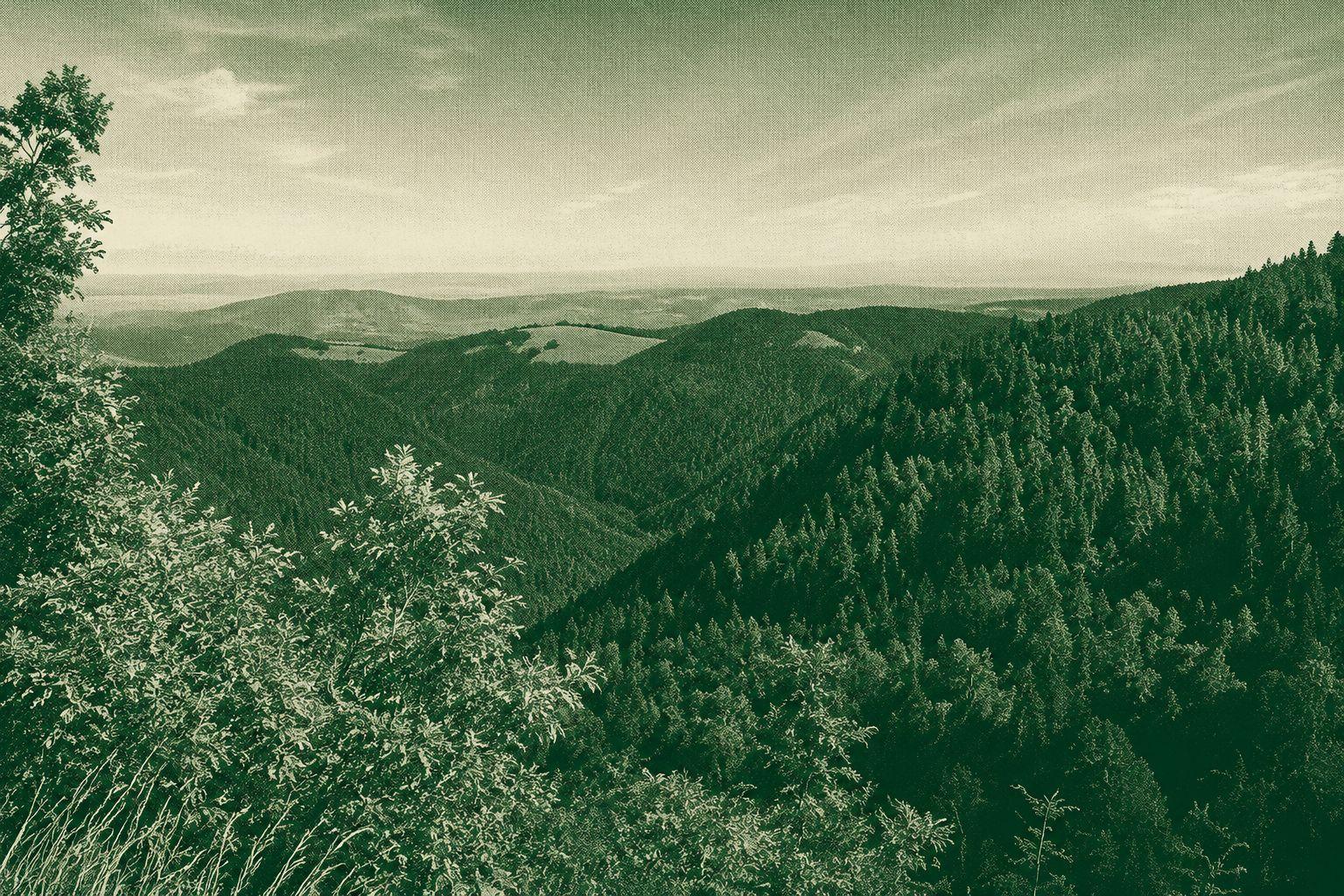 Feldbergsteig