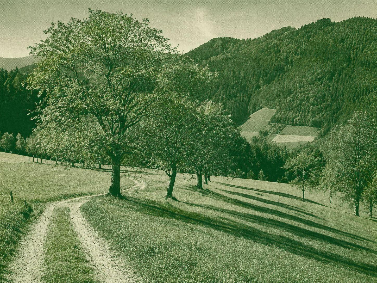 Hahn-und-Henne-Runde