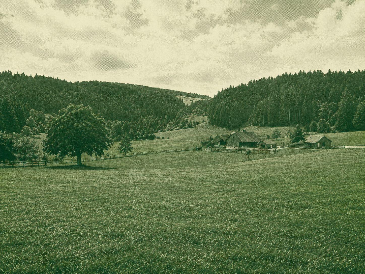 U (h) rwaldpfad Rohrhardsberg