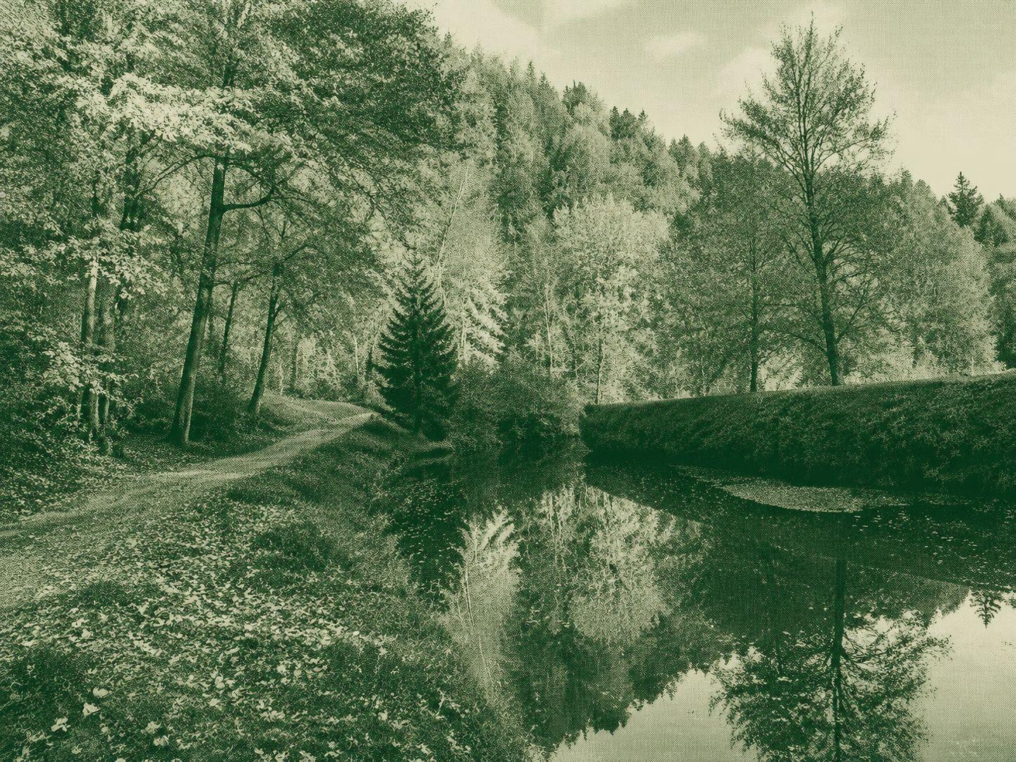 Wild valleys — princely heights