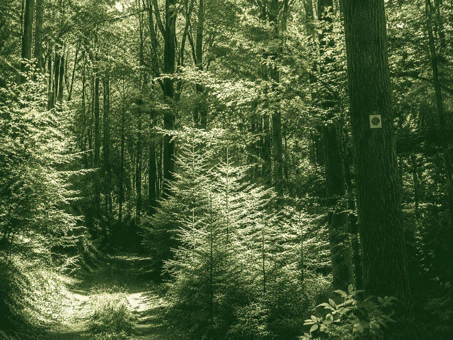 Wolfacher Grenzgänger-Steig
